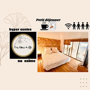 Appartement met een Slaapkamer